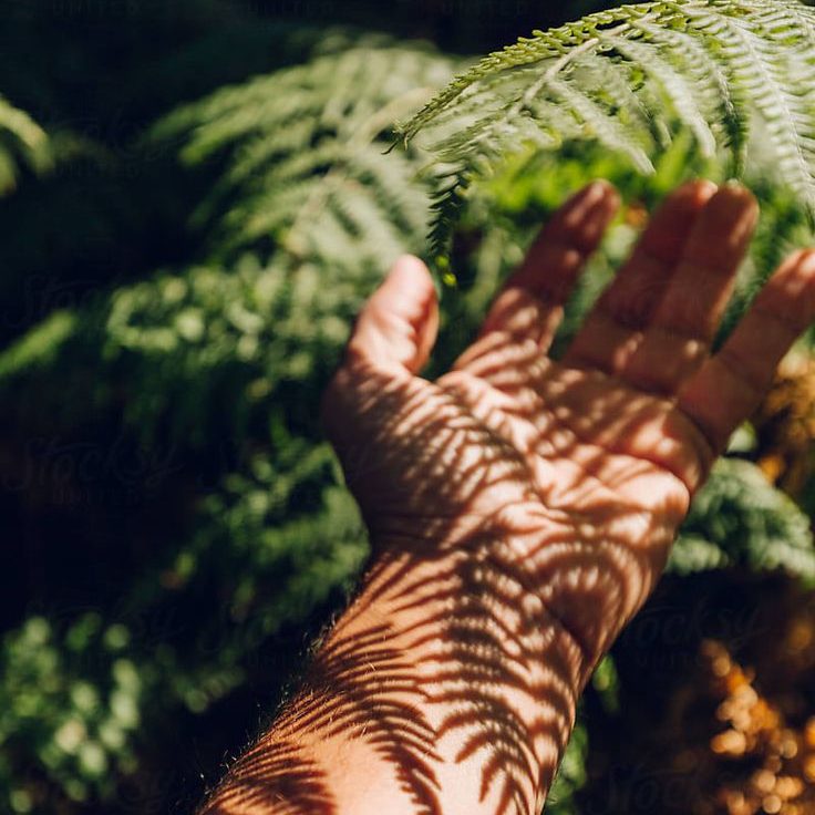 Chapter 5: Eco-Everything