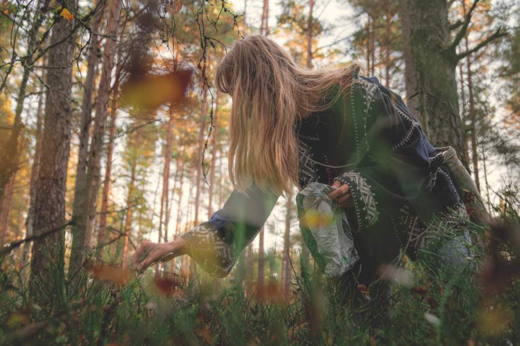 How to safely and respectfully gather wild&nbsp;plants