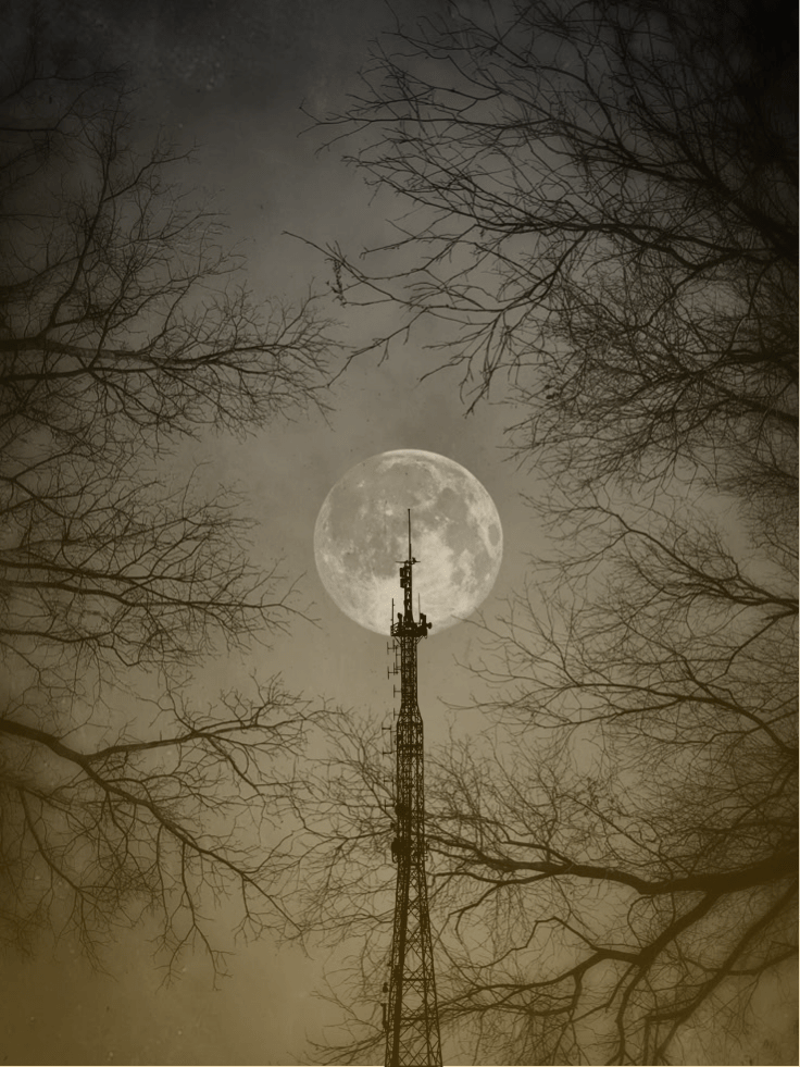 Transmissions from the&nbsp;Moon